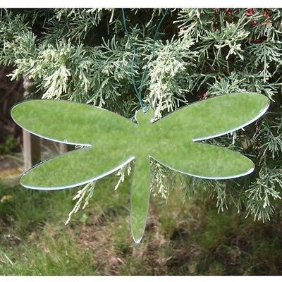 Mirrored dragonfly ornament hanging in green pine foliage, reflecting trees.