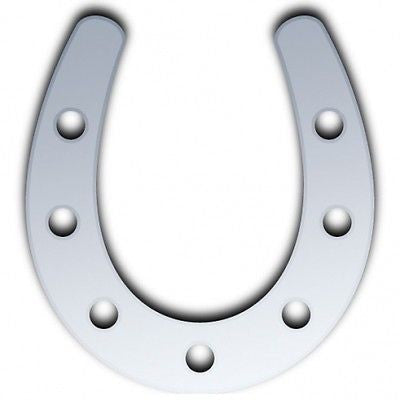 Silver horseshoe-shaped acrylic mirror with seven round nail holes.