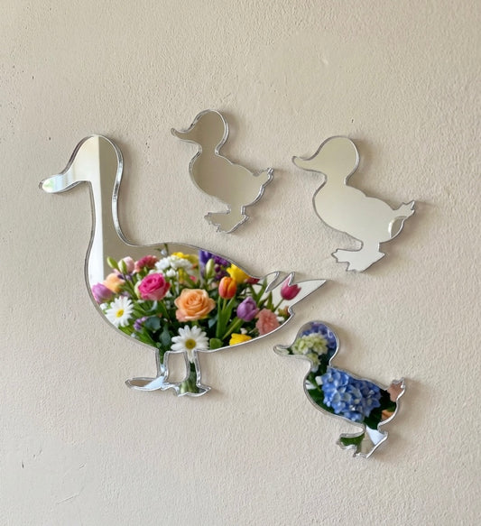 Duck & Chicks Bundle of Mirrors