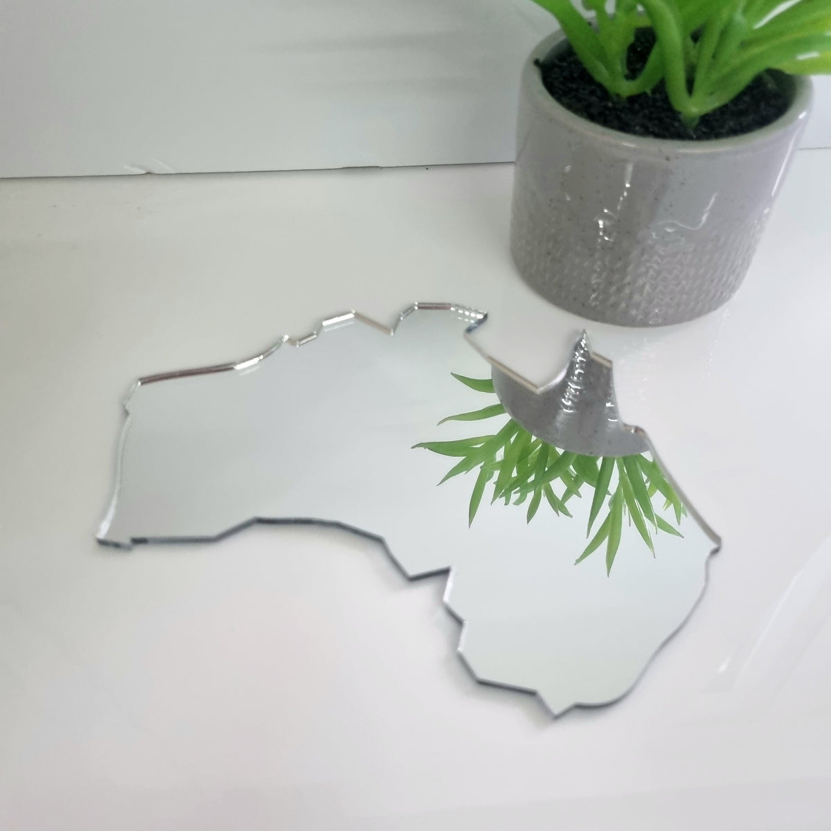 Silver acrylic mirror cut into the shape of the map of Australia, reflecting a potted plant.