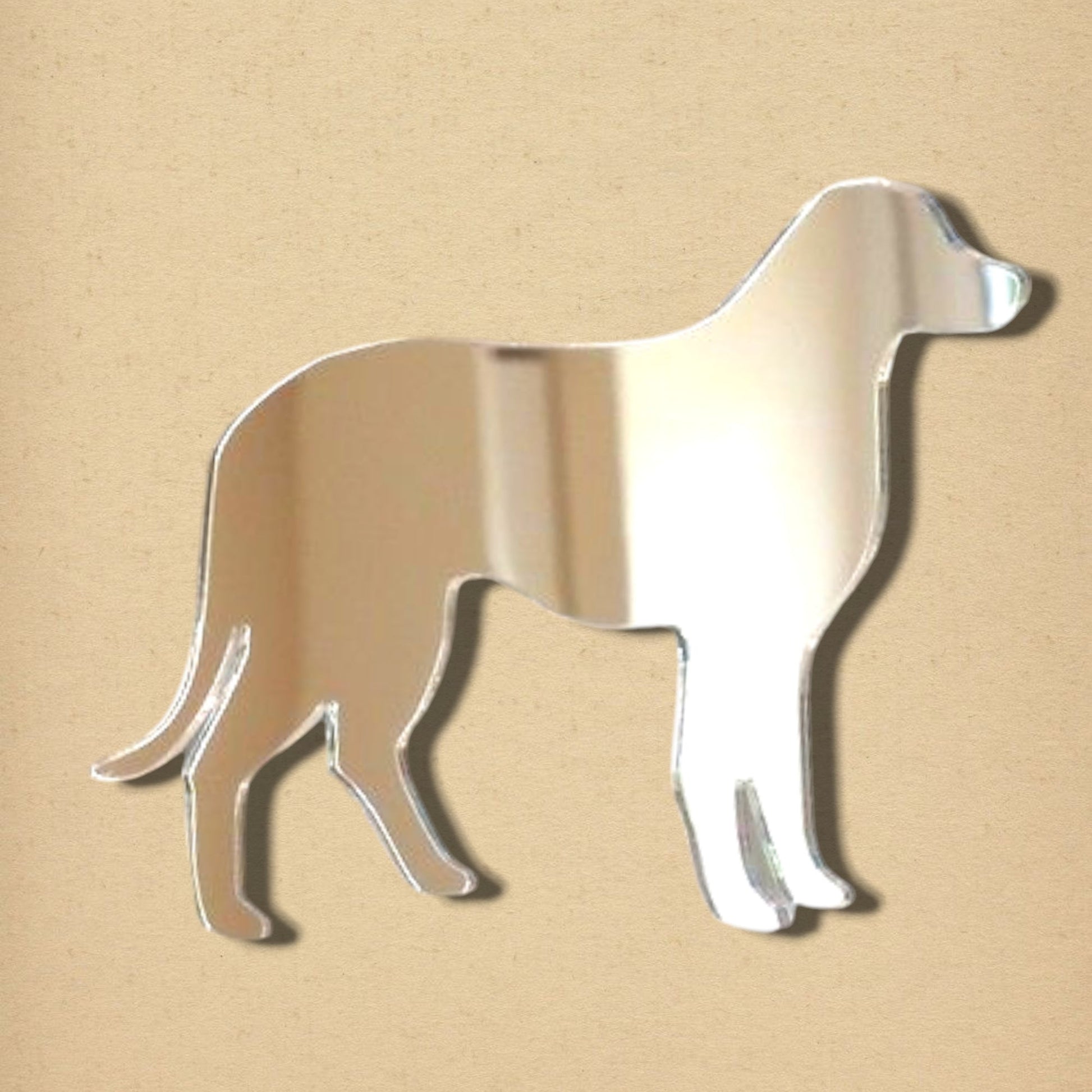 Labrador-shaped reflective mirror on a tan textured background.