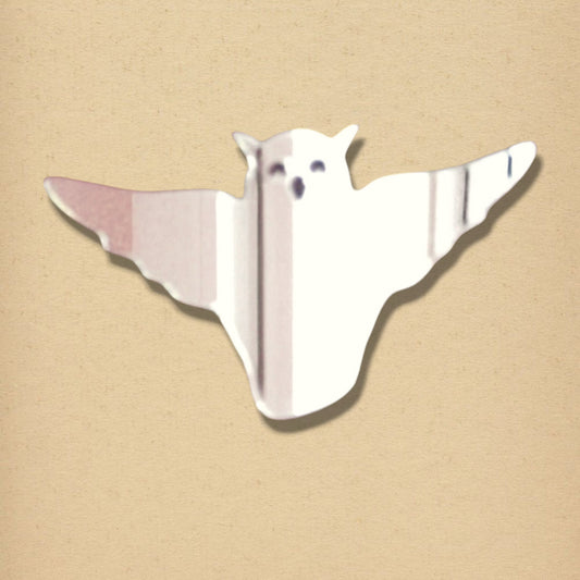 An owl-shaped wall mirror with outstretched wings, featuring simple engraved eyes and beak.