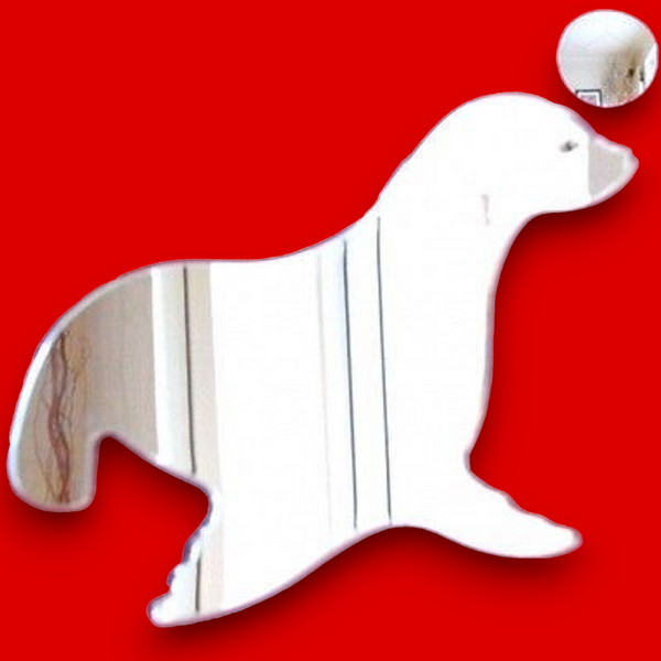 Seal & Ball Shaped Acrylic Mirrors & Engraving Services