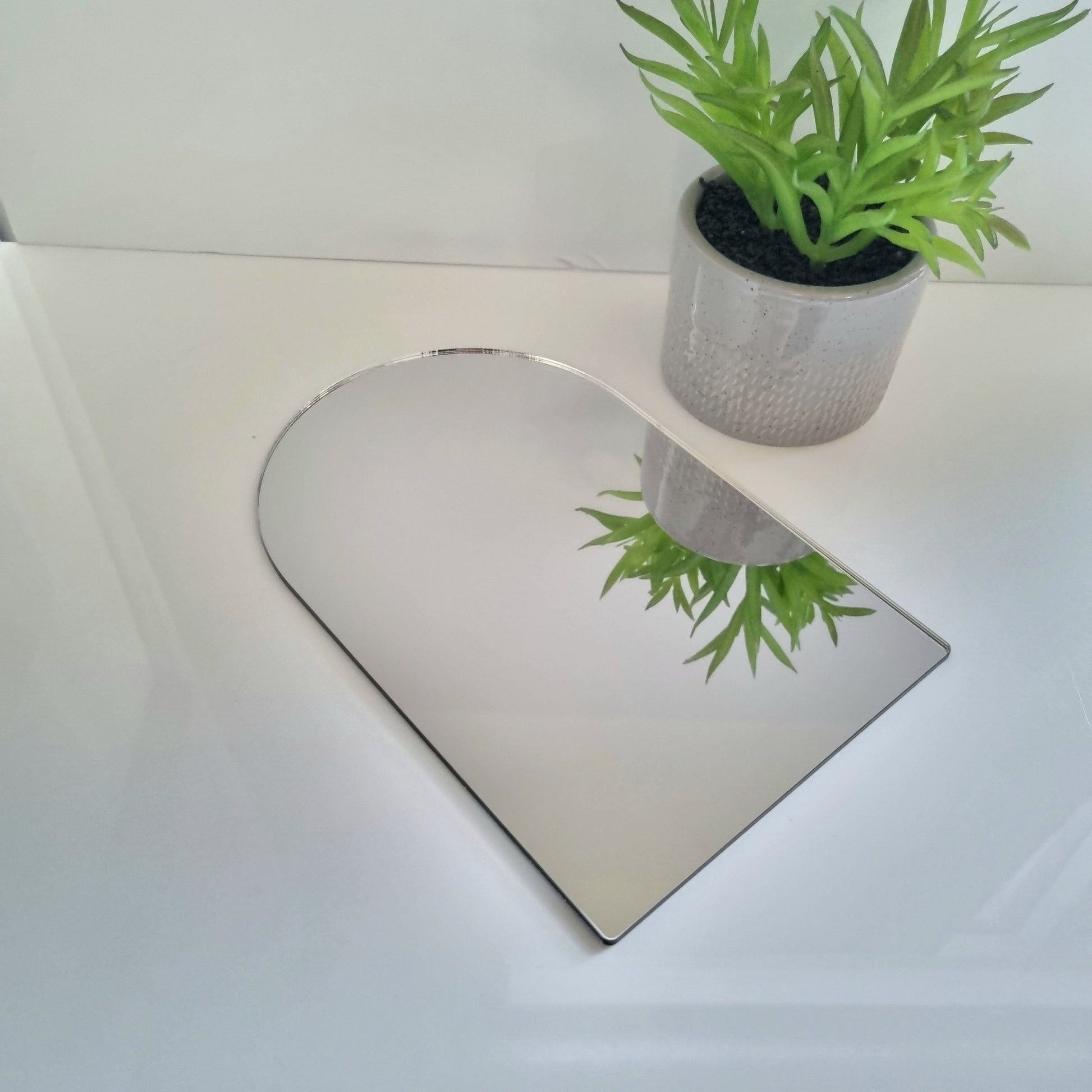 An arch mirror lying flat on a white surface, reflecting a green potted plant.