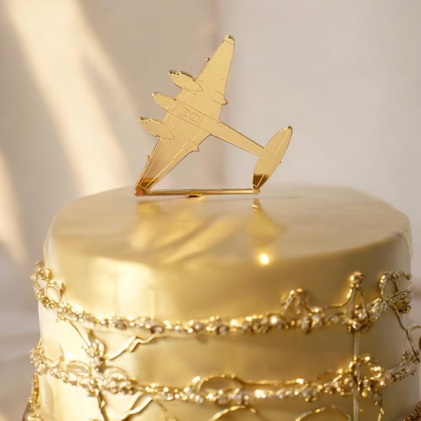Mosquito Aeroplane Cake Toppers - Colours Sizes, Shapes Made