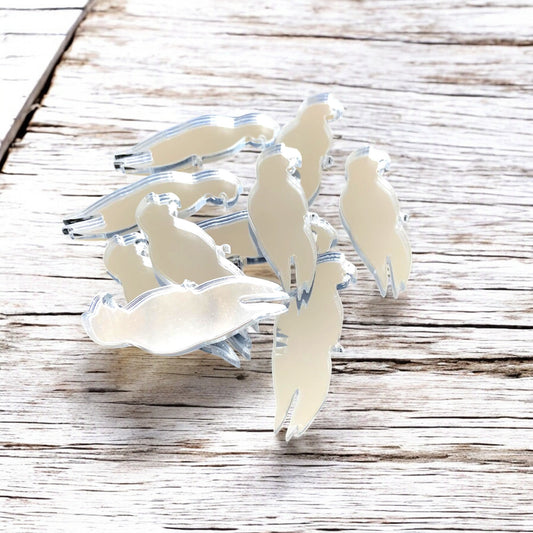 Ensembles de bricolage pour perroquets