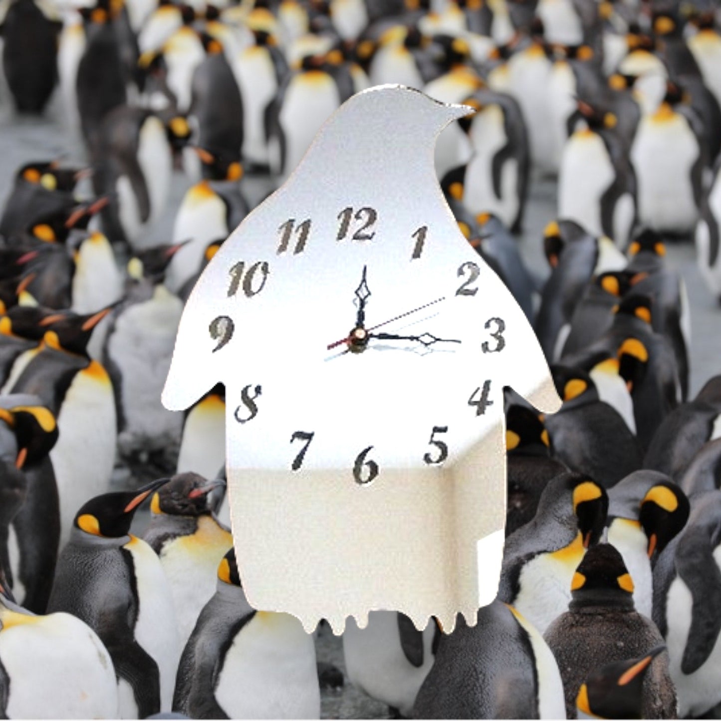 Penguin Shaped Clocks - Many Colour Choices