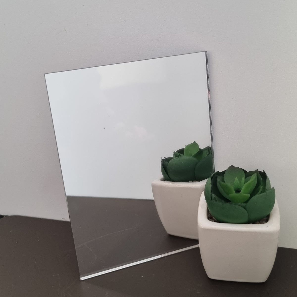 A rectangular mirror leaning against a white wall with a potted succulent plant in front of it.