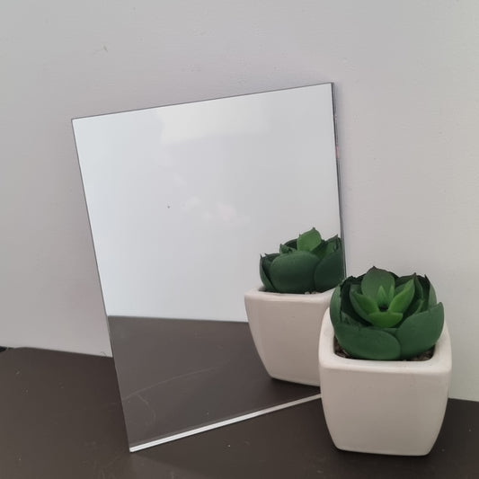 A rectangular mirror leaning against a white wall with a potted succulent plant in front of it.