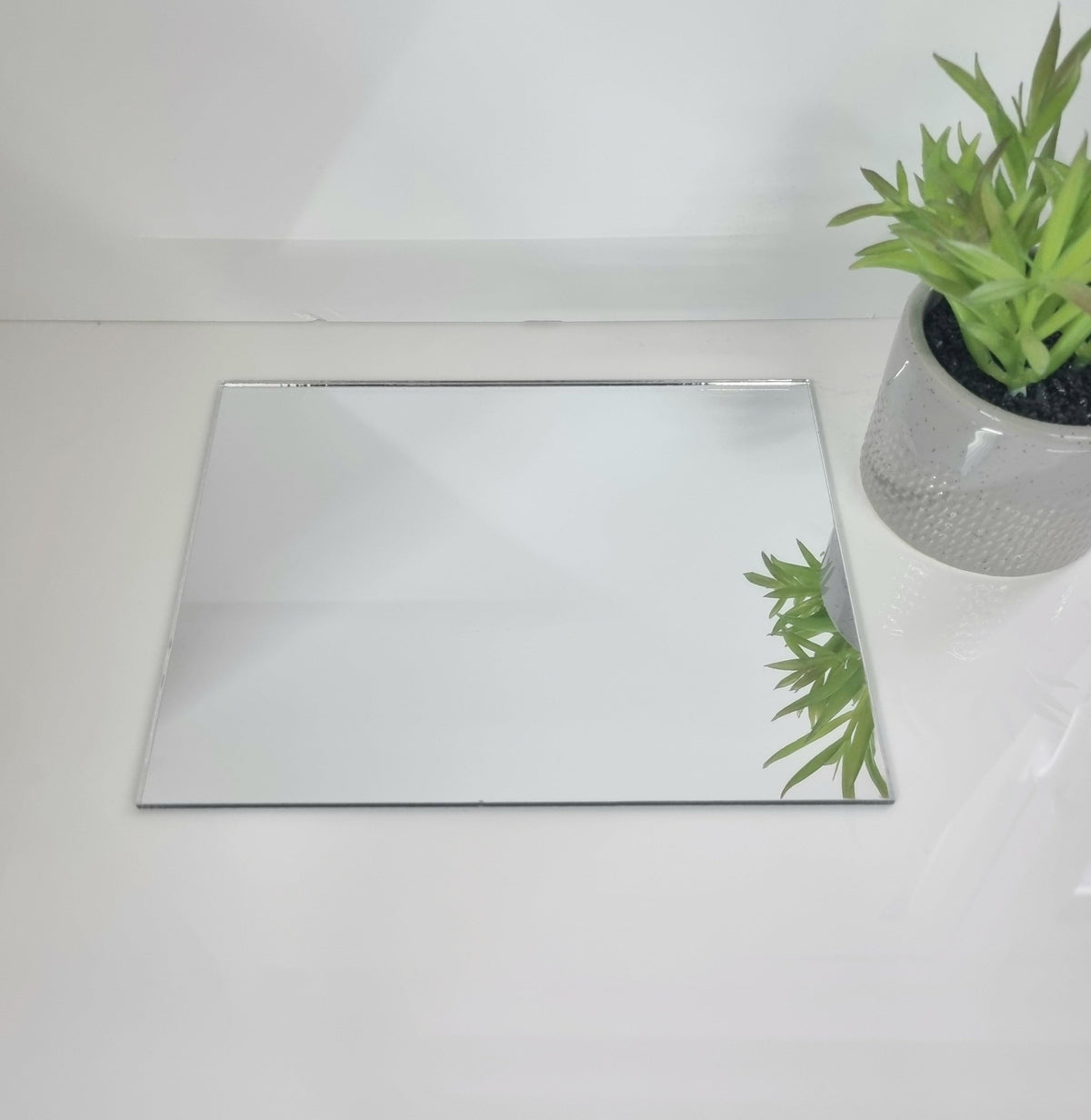 Horizontal rectangle mirror on white surface next to a potted green plant.