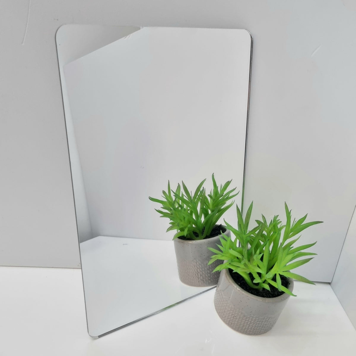 Rounded rectangular mirror reflecting a small potted green succulent on a white surface.