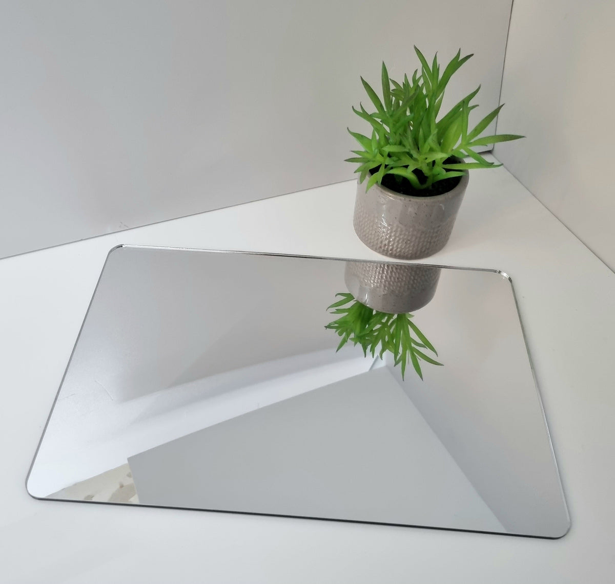 Rounded rectangular mirror with a potted green succulent placed on a white surface.
